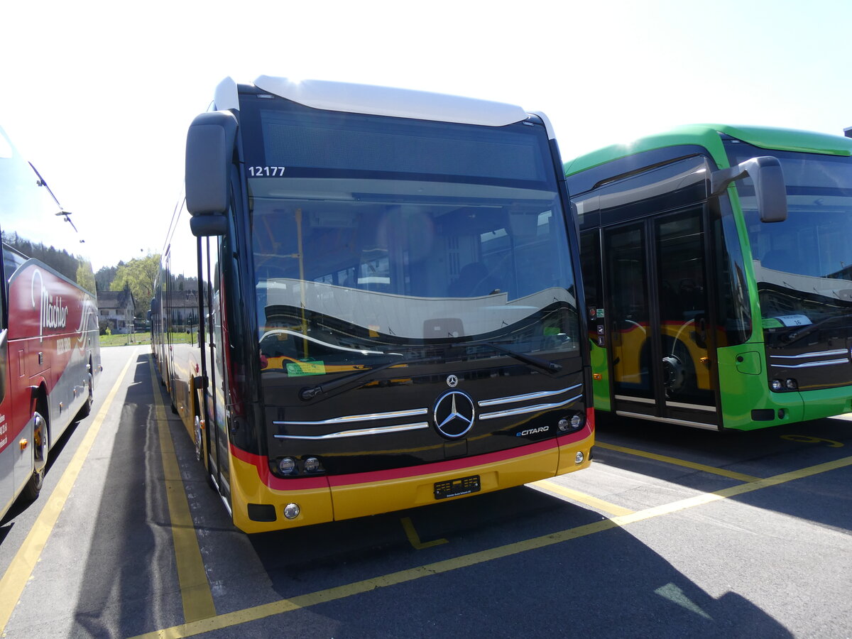 (273'873) - Stutz, Jonen - Nr. 441/PID 12'177 - eMercedes am 12. April 2025 in Winterthur, Daimler Buses 