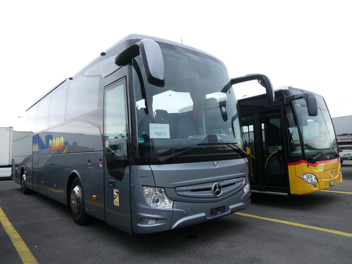 (273'929) - Domo, Glattbrugg - Mercedes (ex Haubold, D-Hecklingen) am 12. April 2025 in Kerzers, Interbus