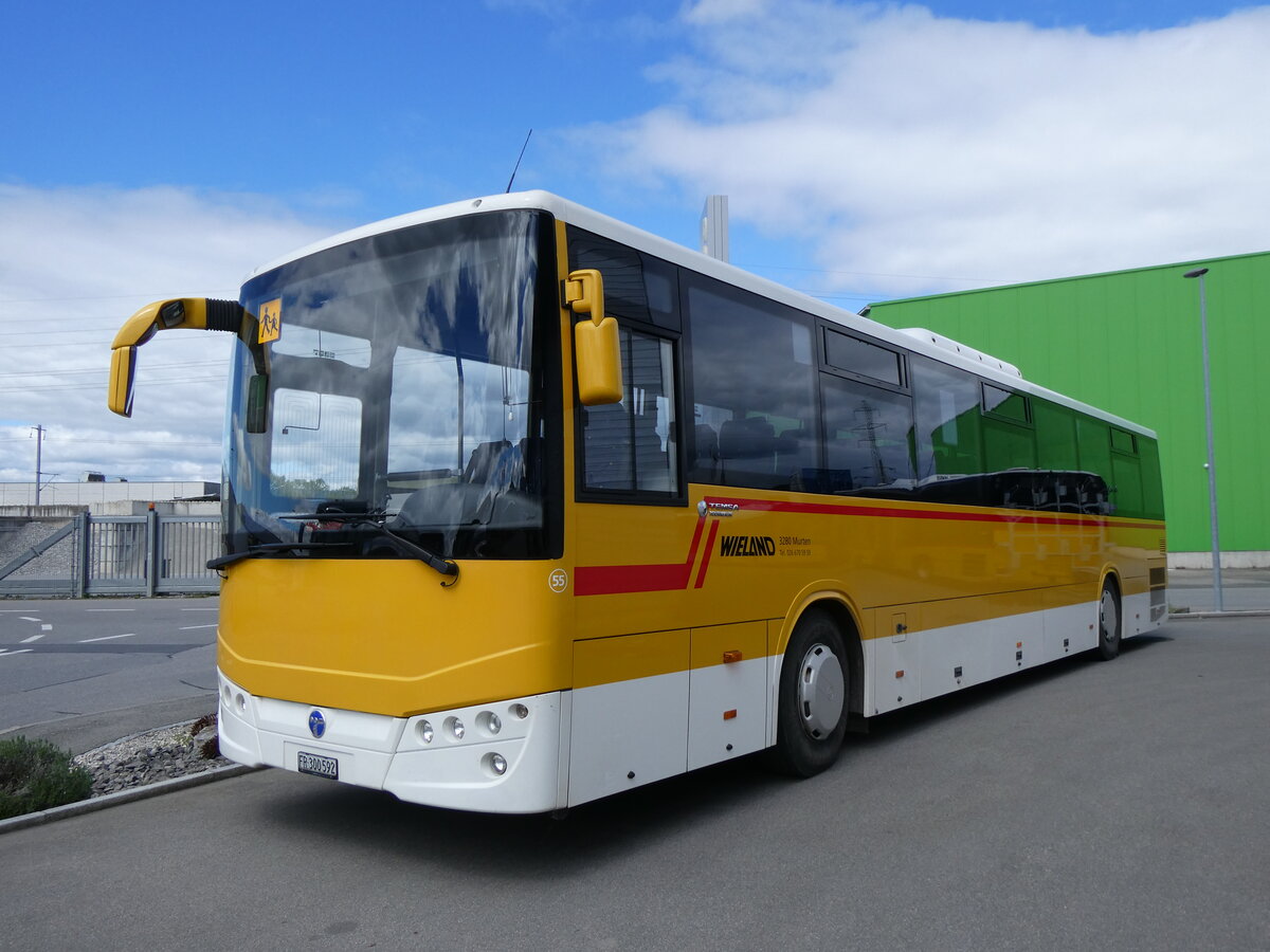 (274'055) - Wieland, Murten - Nr. 55/FR 300'592 - Temsa am 18. April 2025 in Kerzers, Interbus