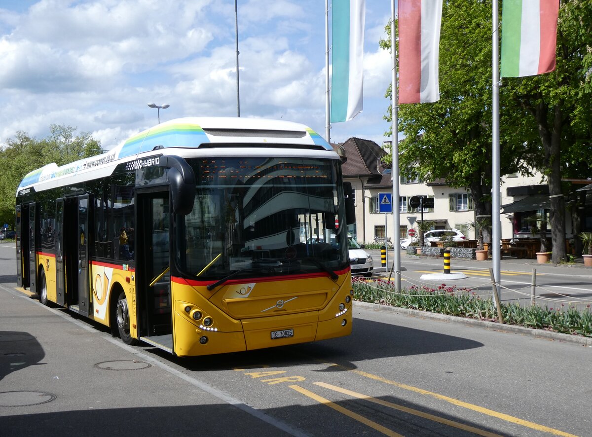 (274'130) - PostAuto Ostschweiz - TG 70'825/PID 10'469 - Volvo am 22. April 2025 beim Bahnhof Weinfelden