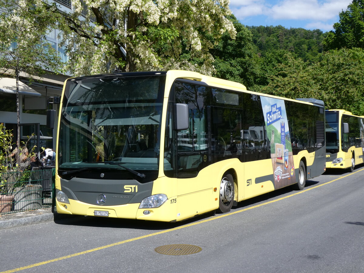 (275'621) - STI Thun - Nr. 175/BE 752'175 - Mercedes am 16. Mai 2025 bei der Schifflndte Thun