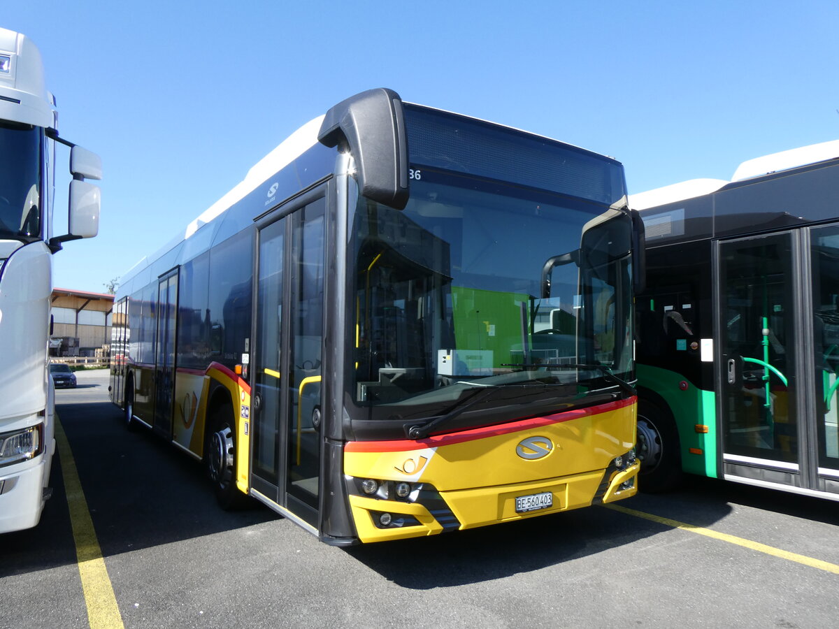 (275'702) - PostAuto Bern - BE 560'403/PID 11'936 - Solaris am 18. Mai 2025 in Kerzers, Interbus