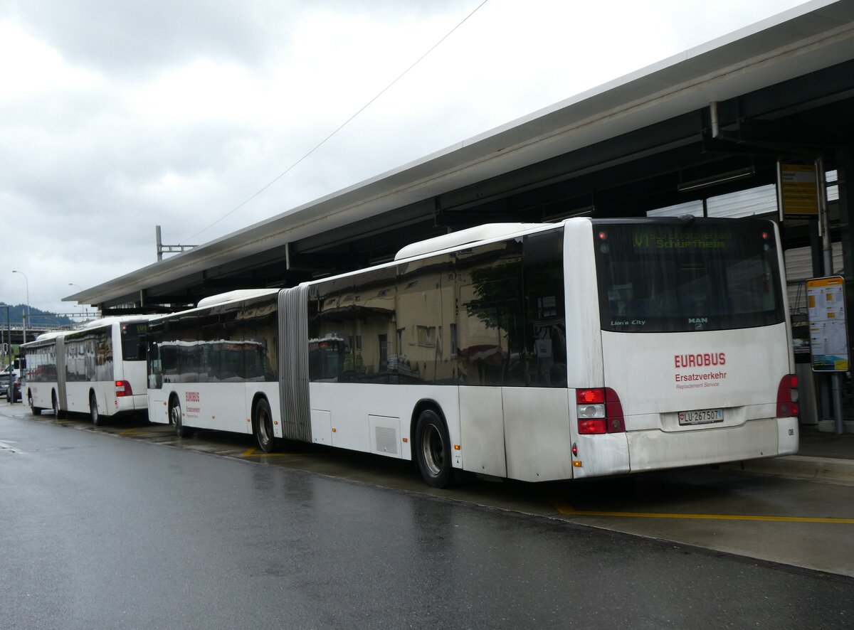(275'840) - Hfliger, Sursee - Nr. 8/LU 267'507 - MAN (ex St. Gallerbus, St. Gallen Nr. 276) am 26. Mai 2025 beim Bahnhof Schpfheim