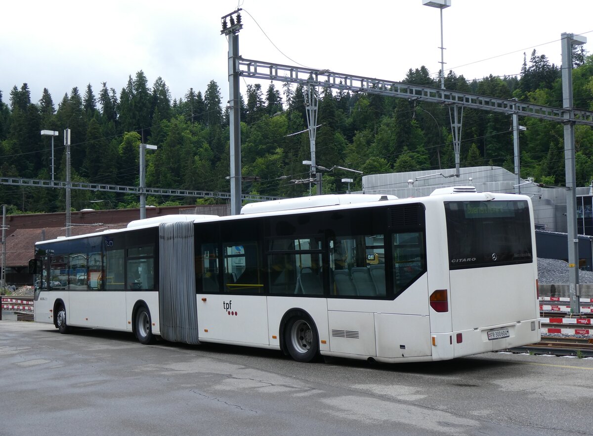 (275'861) - Wieland, Murten - Nr. 123/FR 300'604 - Mercedes (ex Knecht, Windisch Nr. 215; ex Interbus, Yverdon Nr. 215; ex BVB Basel Nr. 794; ex ASN Stadel Nr. 199/PID 4125) am 26. Mai 2025 beim Bahnhof Langnau