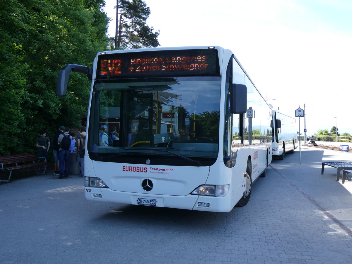 (276'100) - Welti-Furrer, Bassersdorf - Nr. 42/ZH 250'855 - Mercedes am 31. Mai 2025 beim Bahnhof Uetliberg