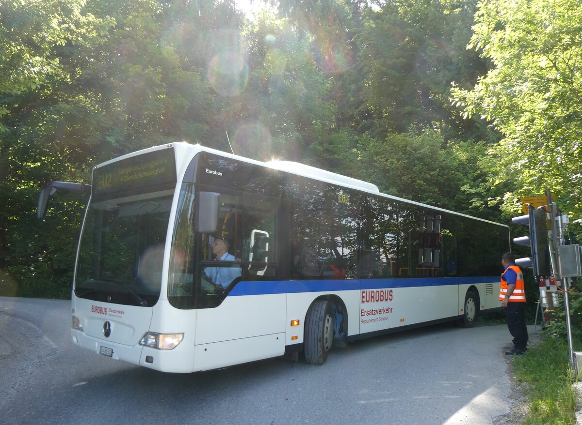 (276'104) - Welti-Furrer, Bassersdorf - Nr. 50/ZH 486'502 - Mercedes (ex Maag, Kloten Nr. 45) am 31. Mai 2025 beim Bahnhof Uetliberg