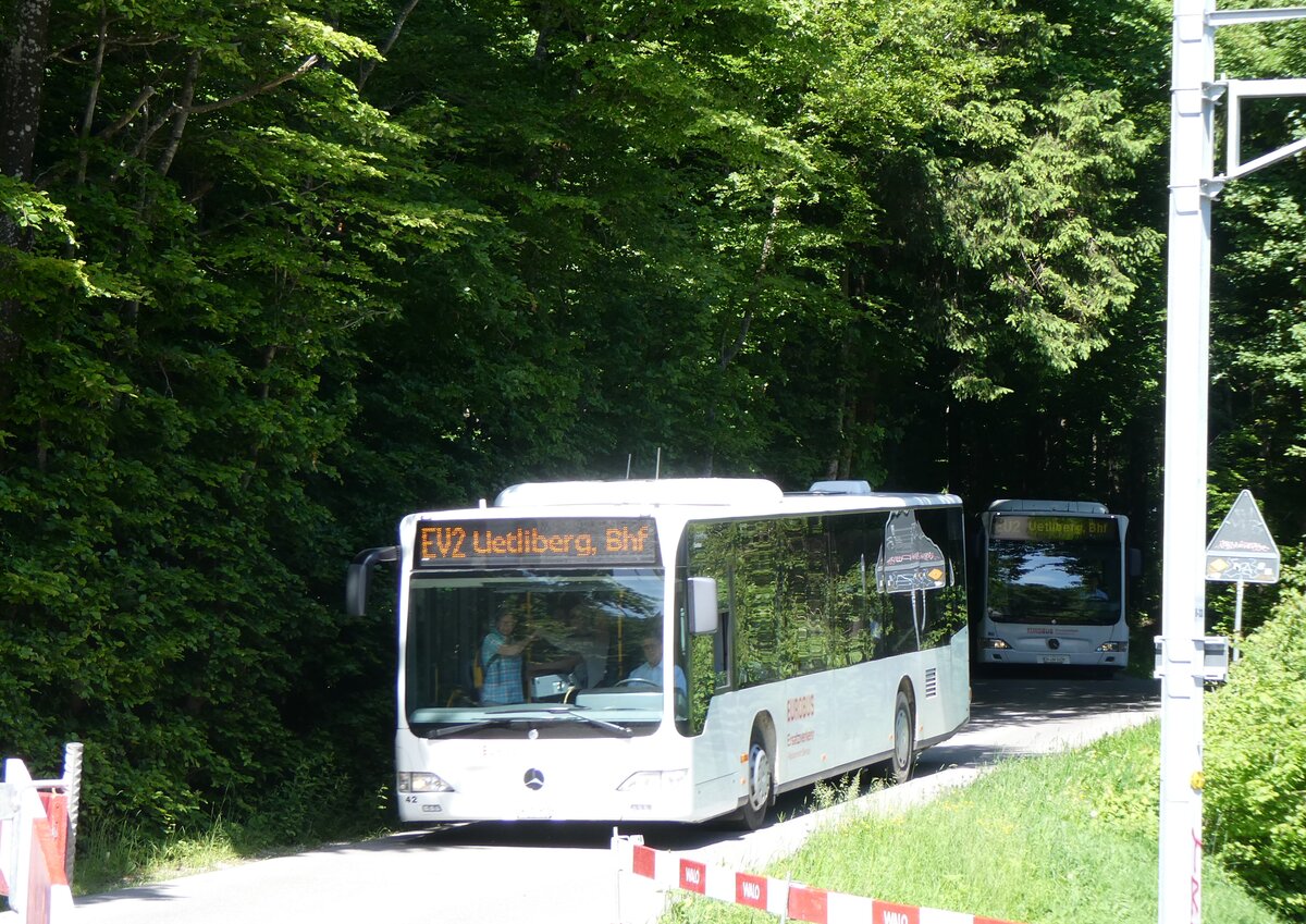 (276'105) - Welti-Furrer, Bassersdorf - Nr. 42/ZH 250'855 - Mercedes am 31. Mai 2025 am Uetliberg