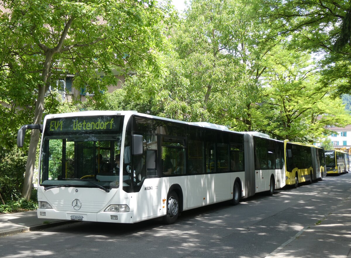 (276'779) - Wieland, Murten - Nr. 123/FR 300'604 - Mercedes (ex Knecht, Windisch Nr. 215; ex Interbus, Yverdon Nr. 215; ex BVB Basel Nr. 794; ex ASN Stadel Nr. 199/PID 4125) am 16. Juni 2025 beim Bahnhof Thun (Kante X)