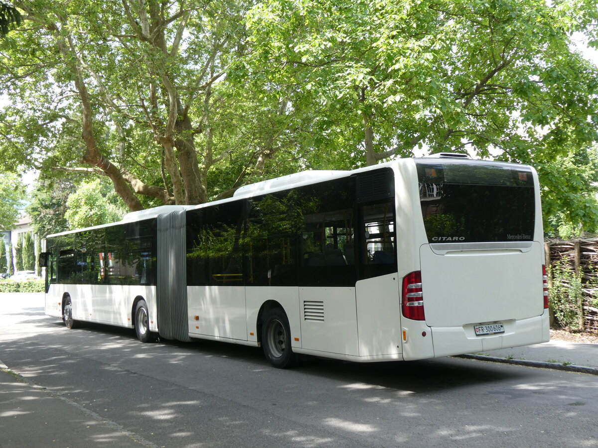 (276'785) - Wieland, Murten - Nr. 134/FR 300'606 - Mercedes (ex Interbus, Yverdon Nr. 222; ex VBL Luzern Nr. 161) am 16. Juni 2025 beim BAhnhof Thun (Kante X)