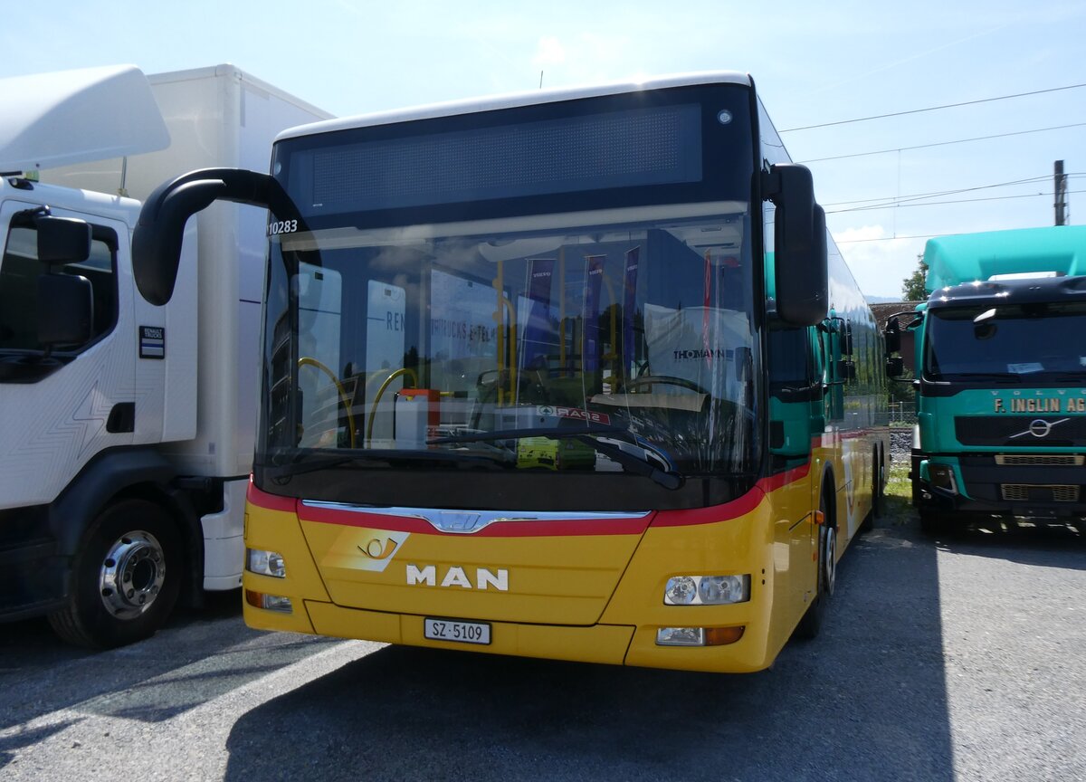 (276'819) - PostAuto Ostschweiz - SZ 5109/PID 10'283 - MAN (ex Lienert&Ehrler, Einsiedeln) am 17. Juni 2025 in Schmerikon, Thomann