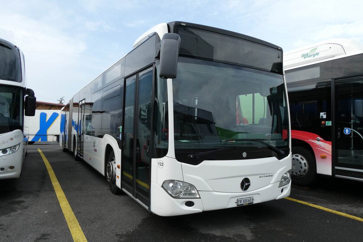(278'098) - Wieland, Murten - Nr. 122/FR 300'603 - Mercedes (ex Interbus, Yverdon Nr. 209; ex Gschwindl, A-Wien Nr. 8401) am 27 Juli 2025 in Kerzers, Interbus
