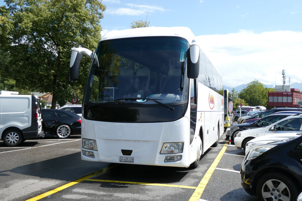 (278'411) - Domo, Glattbrugg - SG 420'239 - MAN am 2. August 2025 in Thun, CarTerminal