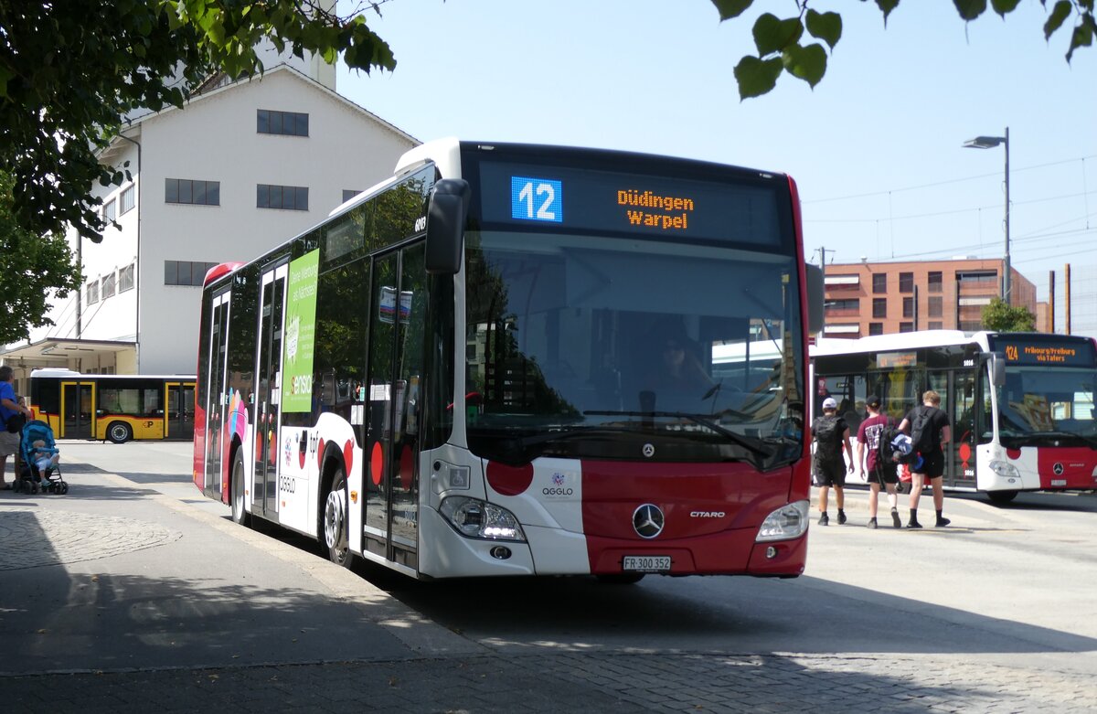 (278'870) - TPF Fribourg - Nr. 6003/FR 300'352 - Mercedes am 15. August 2025 beim Bahnhof D�dingen
