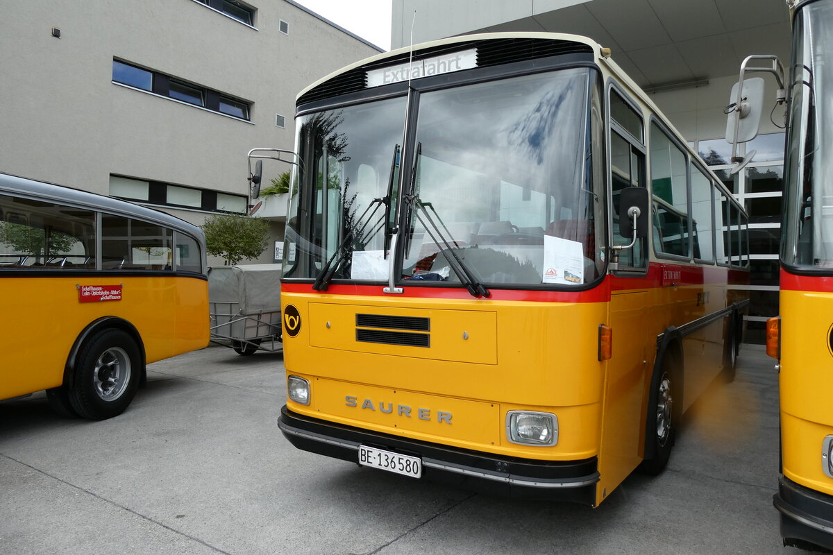 (279'663) - Schumacher, Liebefeld - BE 136'580 - Saurer/Tscher (ex Zimmermann, Niederwangen; ex P 24'289) am 30. August 2025 in Oberkirch, CAMPUS Sursee
