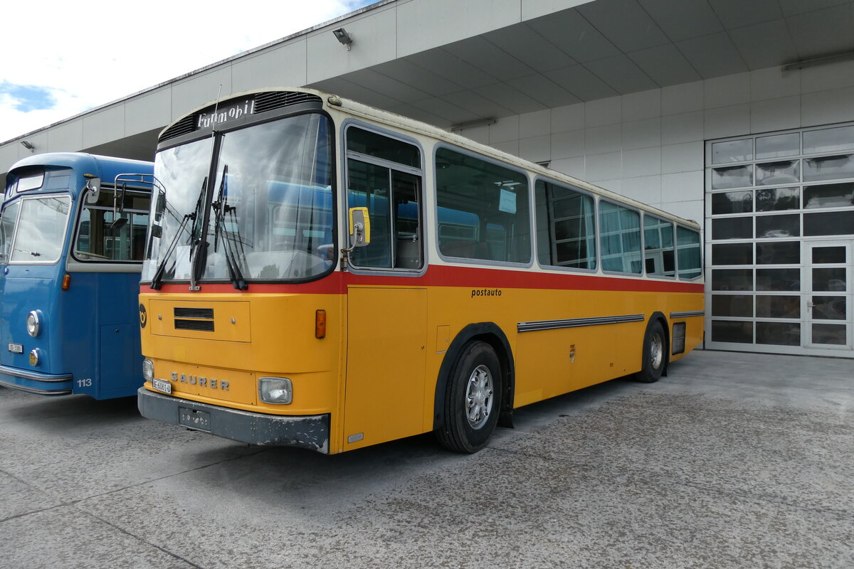 (279'687) - Ryser, Auswil - BE 6061 U - Saurer/Hess (ex Flury, Balm) am 30. August 2025 in Oberkirch, CAMPUS Sursee