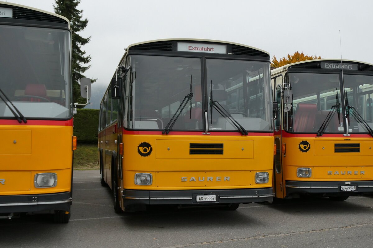 (281'345) - Gautschi, Suhr - AG 6835 - Saurer/Tscher (ex Ltscher, Neuheim Nr. 200/PID 2525; ex Cartek, Regensdorf; ex P 25'822) am 12. Oktober 2025 in Schwarzenberg, Rssli 