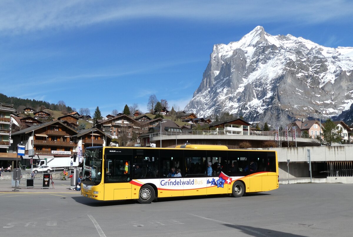 (285'386) - GrindelwaldBus, Grindelwald - Nr. 12/BE 356'085 - MAN am 13. M�rz 2026 beim Bahnhof Grindelwald