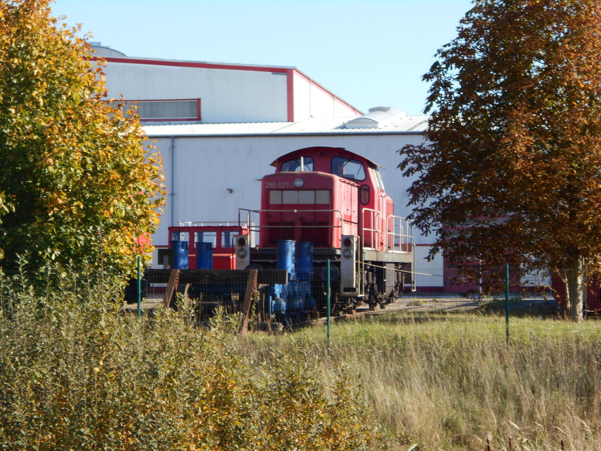 290 527 zwischen zwei B�umen aufgenommen,am 13.Oktober 2018,im Bw Rostock Seehafen.