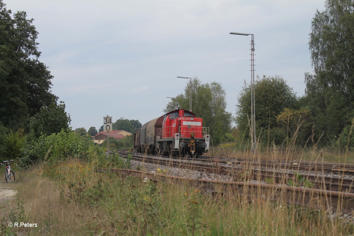 294 599-6 am Zugschluss vom 51643 N�rnberg - Marktredwitz in Wiesau. 08.09.13