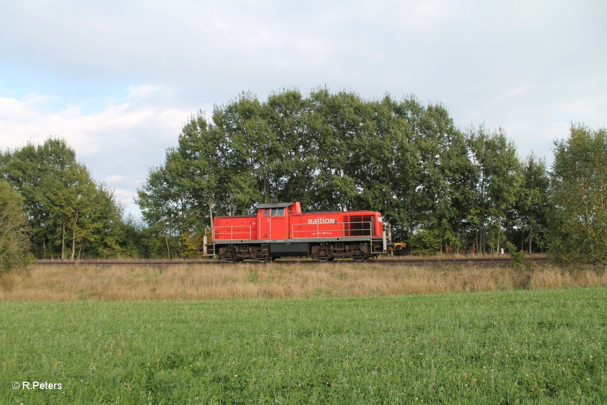 294 599-6 Lz als �bergabe 56960 Marktredwitz - Wiesau bei Sch�nfeld. 30.09.13