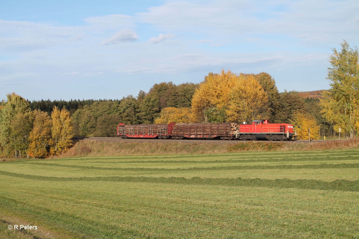 294 599 mit der �bergabe 56960 Marktredwitz - Wiesau bei Oberteich. 22.10.13