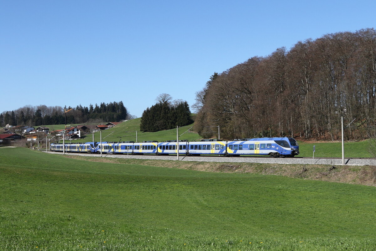 430 021 und 430 028 aus Mnchen kommend am 4. April 2025 bei Axdorf im Chiemgau.