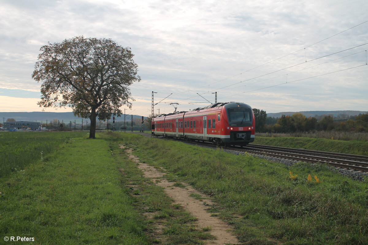 440 801/301 als RB53 58024 Würzburg - Gemünden kurz hinter Retzbach-Zellingen. 21.10.24