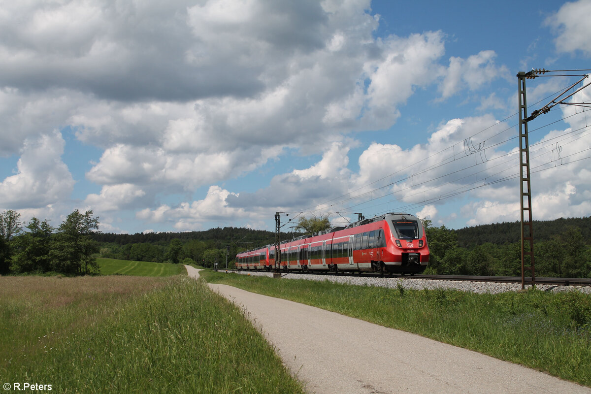 442 265 als S1 Neumarkt/Oberpfalz bei P�lling. 20.05.24