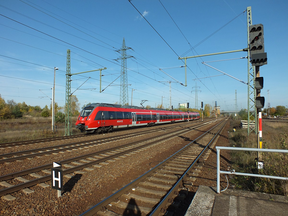 442 319 f�hrt aus dem Bahnhof Sch�nefeld Flughafen aus. Sein Ziel: Senftenberg.