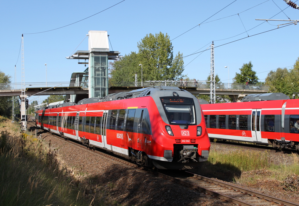 442 342-2 als S1 von Warnem�nde nach Rostock Hbf bei der Ausfahrt im Haltepunkt Rostock-Marienehe.25.09.2015