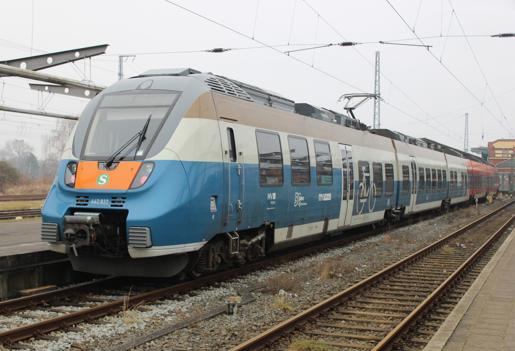 442 837-1  50 Jahre Rostocker S-Bahn  stand am Nachmittag des 21.02.2025 im Rostocker Hbf.