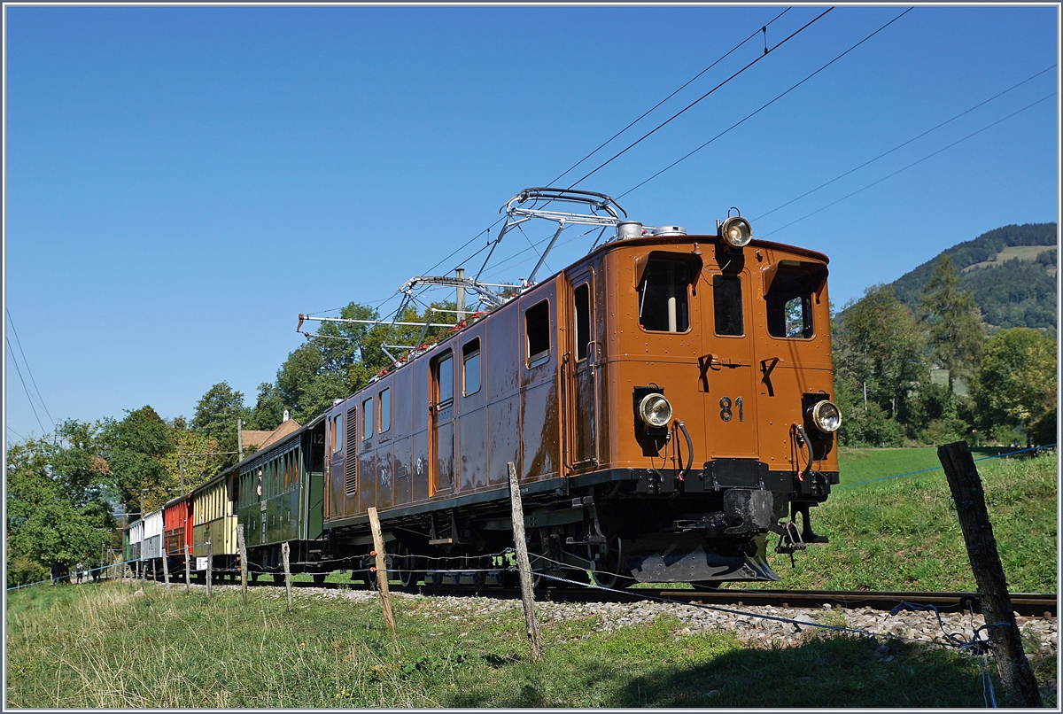 50 Jahre Blonay Chamby - MEGA BERNINA FESTIVAL: Die Blonay-Chamby Bahn BB Ge 4/4 81, von Blonay kommend, kurz vor Chaulin Bifurcation.

9. Sept. 2018