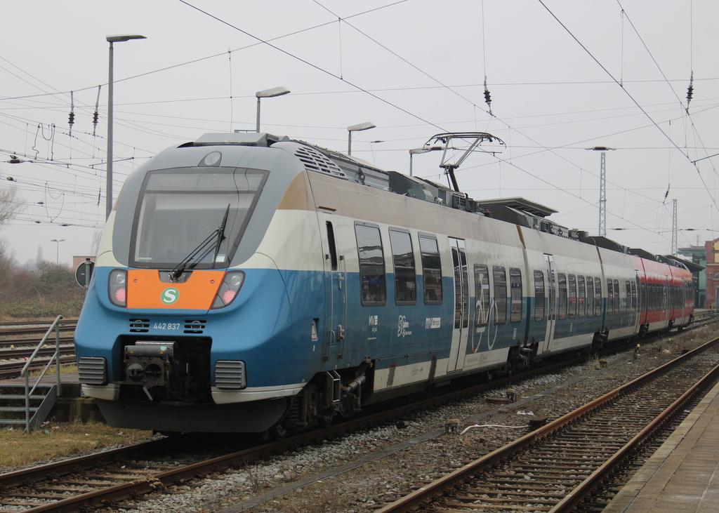  50 Jahre Rostocker S-Bahn  442 837-1 am 21.02.2025 im Rostocker Hbf.