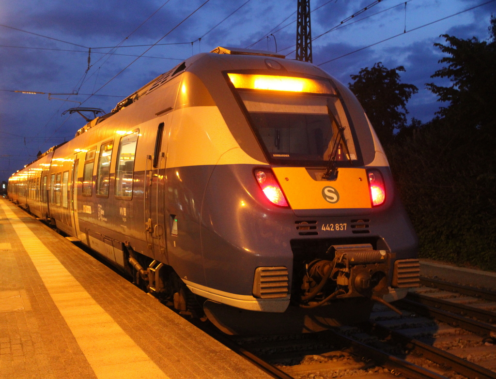 50 Jahre Rostocker S-Bahn Hamster 442 837 stand am Morgen des 01.06.2025 um 03:46 Uhr in Rostock-Bramow.