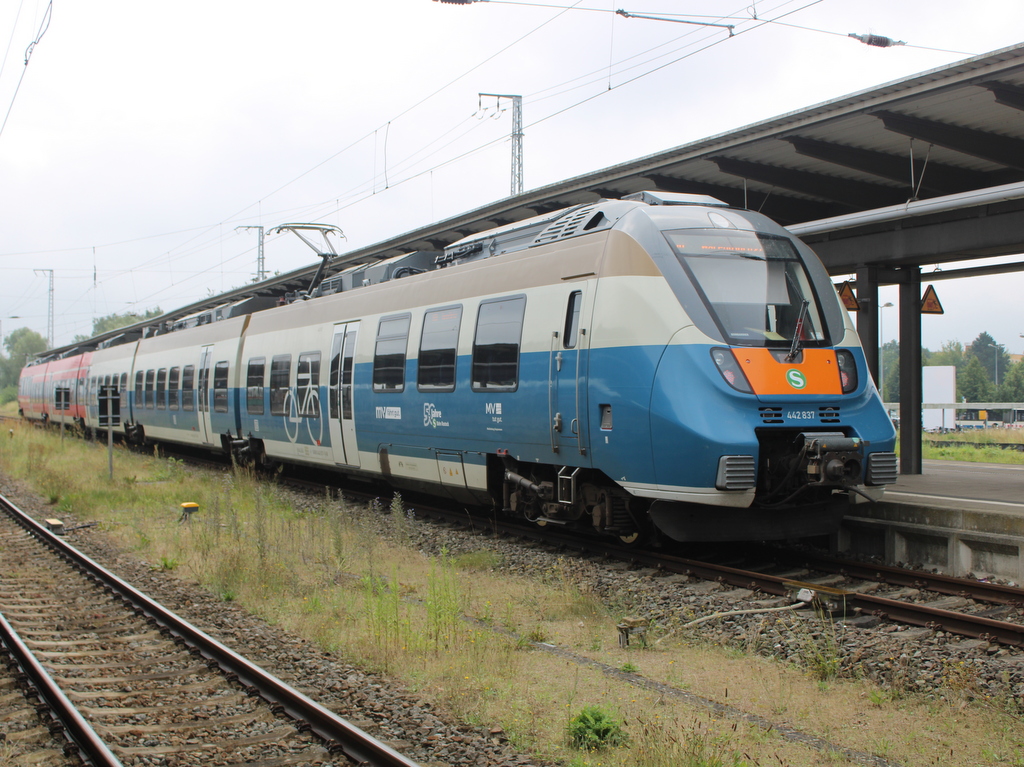 50 Jahre Rostocker S-Bahn Hamster 442 837 stand am 25.07.2025 im Rostocker Hbf.