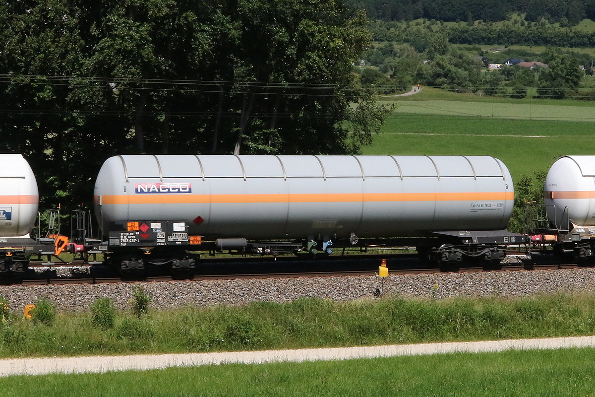 7813 437 (Zags) von  NACCO  am 24. Juni 2020 bei Dollnstein/Altmhltal.