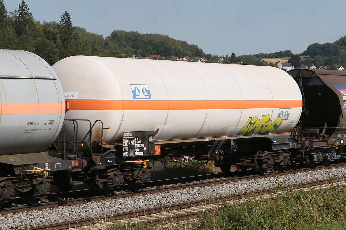 7918 620 (Zagkks) der  ARETZ-GmbH  am 4. August 2022 bei Sulzbach/Rosenberg.