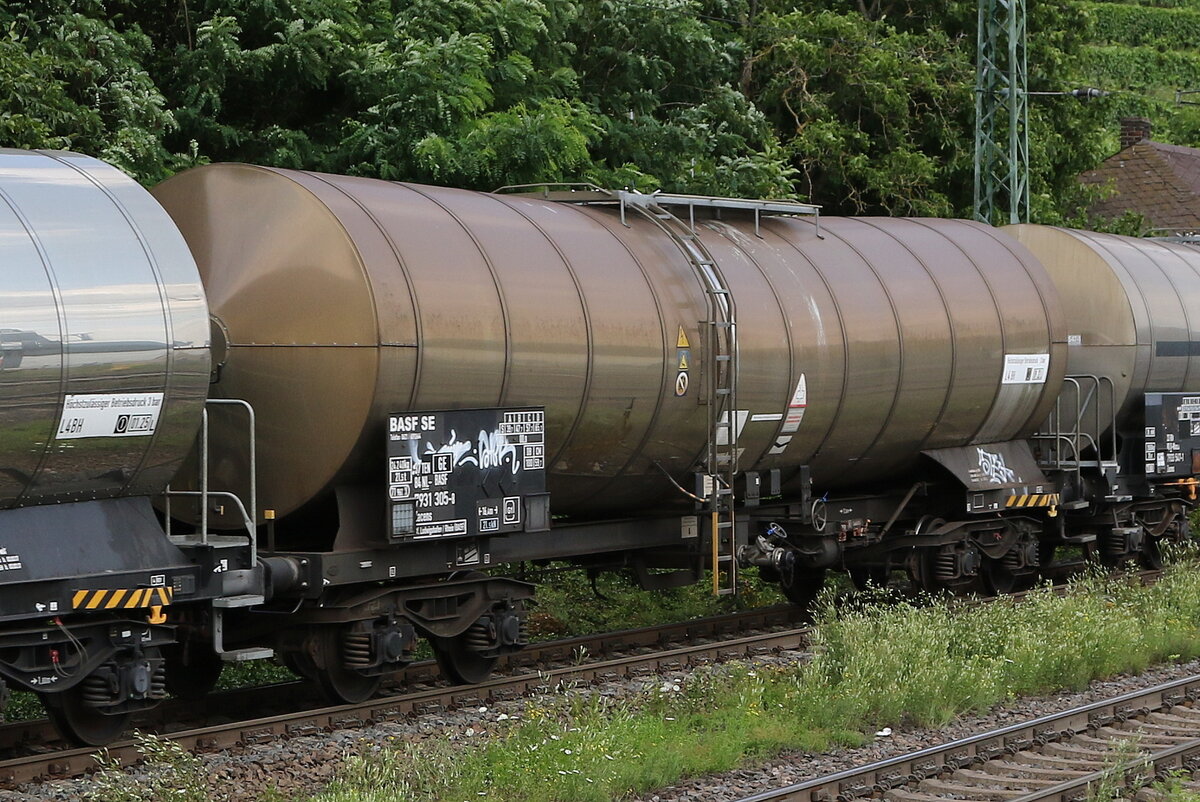 7931 305 (Zacens) von  BASF  am 22. Juli 2021 bei Kaub.