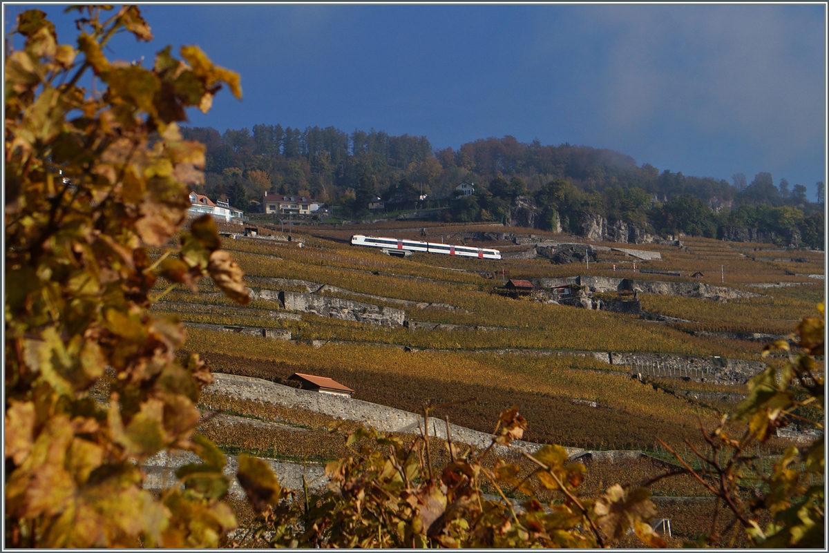Ab Fahrplanwechsel im Dez. 2014 werden die zur Zeit zweiteiligen Zge der S31 um einen Mittelwagen ergnzt werden.
Bei Chexbres, den 2. Nov. 2014