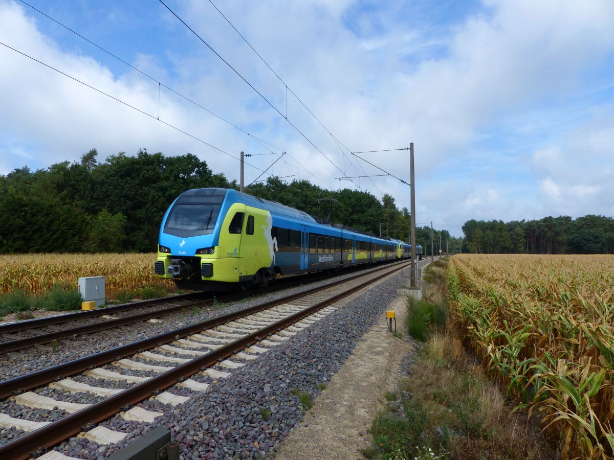 Abellio Westfalenbahn Triebzug ET 407 Bernte, Emsb�ren 17-08-2018.

Abellio Westfalenbahn treinstel ET 407 Bernte, Emsb�ren 17-08-2018.