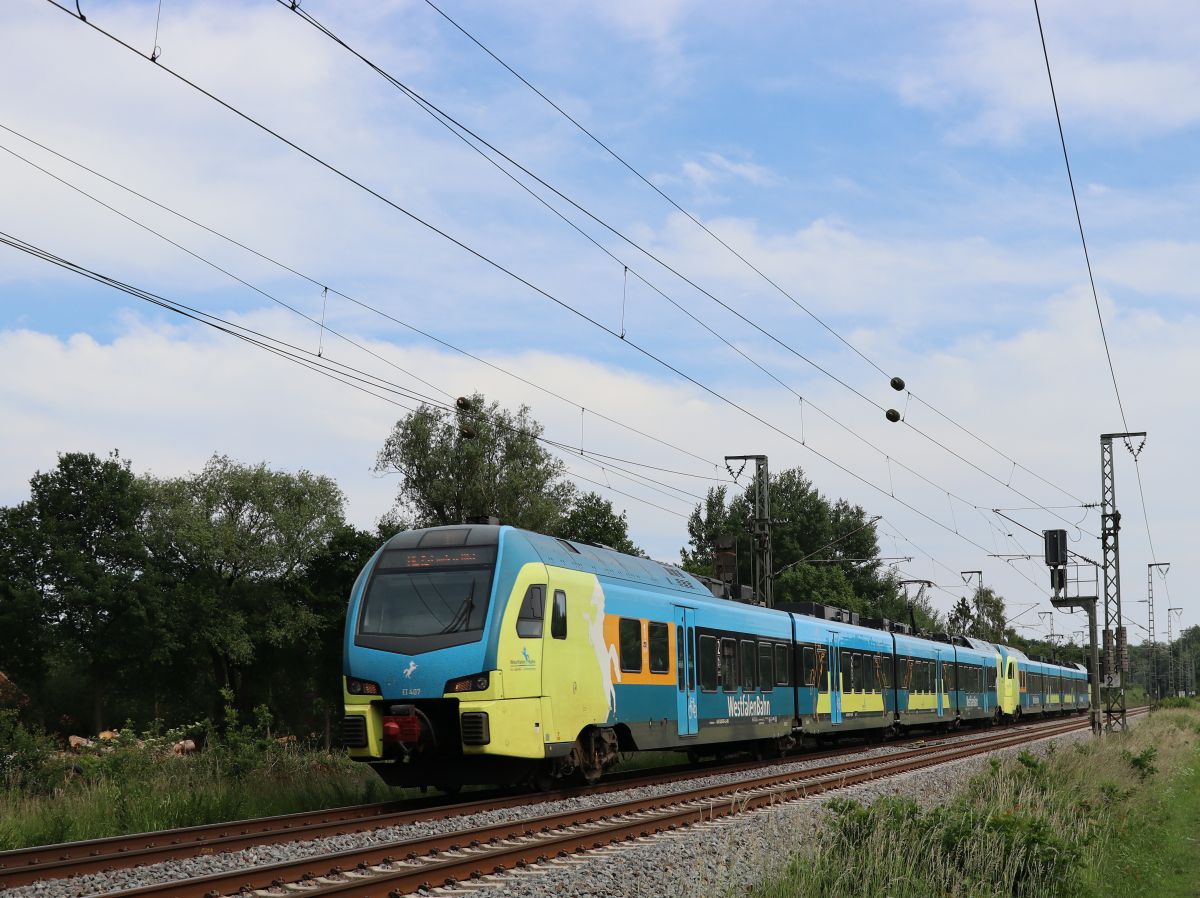 Abellio Westfalenbahn Triebzug ET 407 und ET 409 bei Bahn�bergang Devesstra�e, Salzbergen 03-06-2022.

Abellio Westfalenbahn treinstel ET 407 en ET 409 bij overweg Devesstra�e, Salzbergen 03-06-2022.
