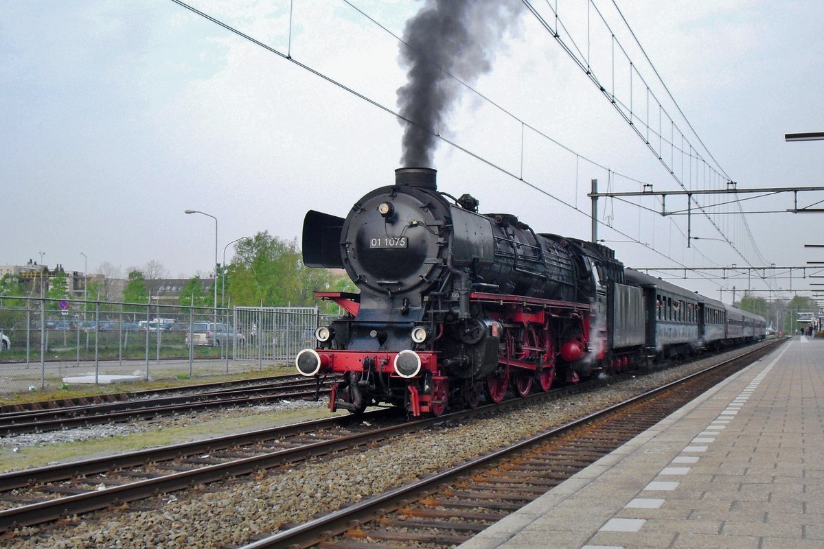 Am 16 April 2010 steht 01 1075 mit ein Sonderzug in Ede-Wageningen.