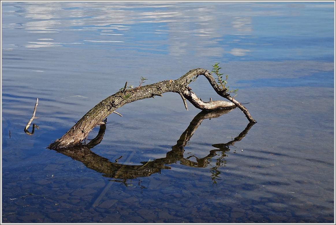 Am Schweriner See
(22.09.2017)