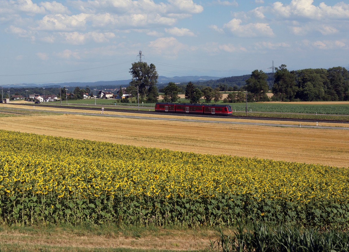 ASm: Mit der ASm uterwegs am späteren Nachmittag bei Wiedlisbach am 11. Juli 2015. Die Sonnenblumen kehrten dem Bahnfotografen den Rücken und warfen ihren Blick auf das  BIPPERLISI 
Foto: Walter Ruetsch