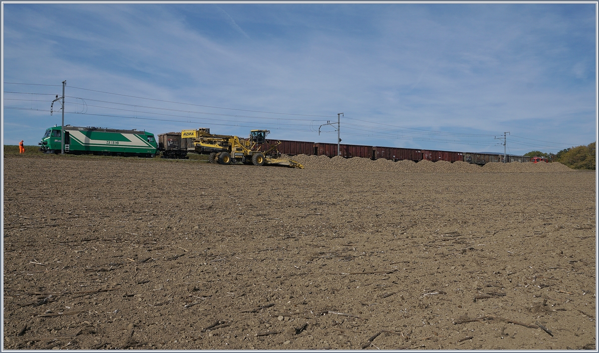 Auf offener Strecke werden bei Reverolle die Zuckerrüben verladen, der Reisezgverkehr wird in der Zwischenzeit im SEV abgewickelt. 
17. Okt. 2017