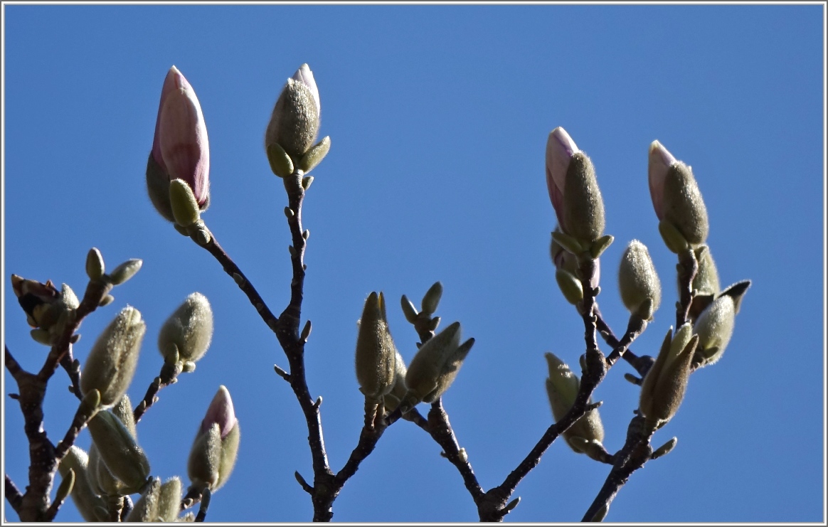 Aufbruch
(07.03.2014)