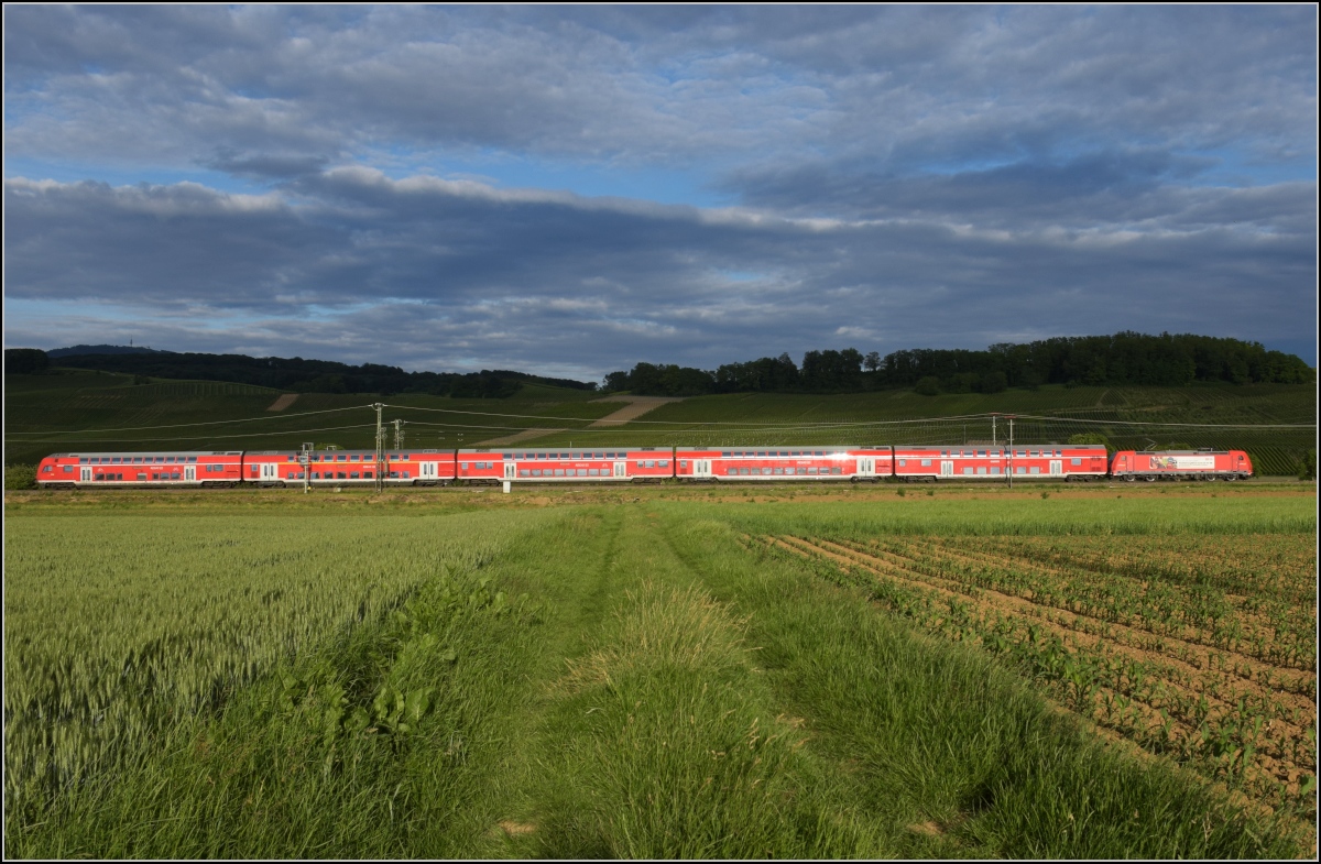 Auslaufmodell am Oberrhein. 146 218 mit Dostozug und Eigenwerbung nach Basel. Auggen, Mai 2020.