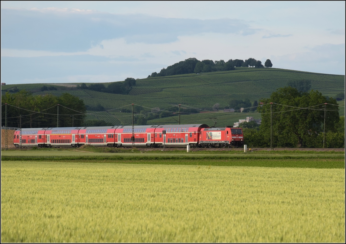 Auslaufmodell am Oberrhein. 146 218 mit Dostozug und Eigenwerbung nach Basel. Auggen, Mai 2020.