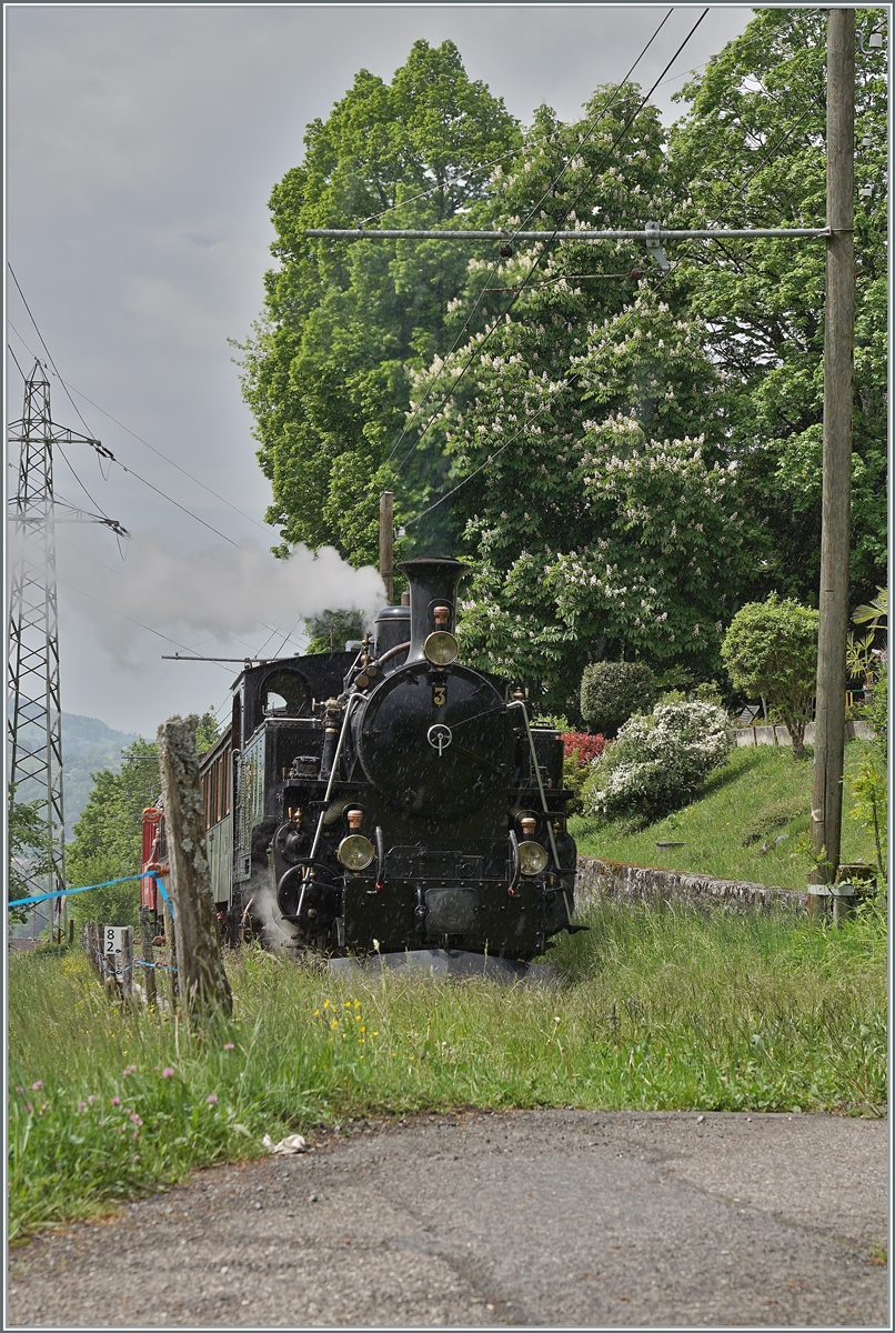 Bei Chaulin kämpft sich die BFD HG 3/4 N° 3 der Blonay - Chamby Bahn durch die Vegetation. 

3. Mai 2025