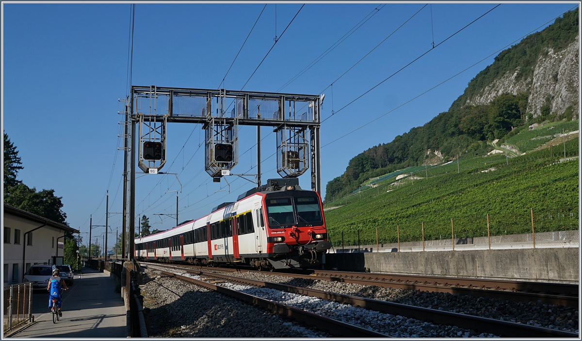 Bei der Siganlbrücke zwischen Tüscherz und Twann konnte ich diesen SBB RBDe 560  Domino  auf der Fahrt nach Biel fotografieren. 
18. August 2017